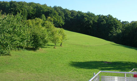 Ausblick vom Balkon